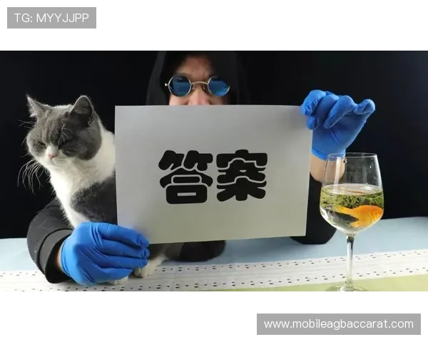 博鱼真人官方入口安全保障措施，确保每一位玩家的资金与信息安全