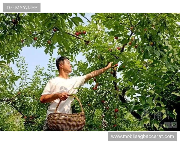 云顶集团首页注册流程详解，轻松完成账号注册与登录步骤指南